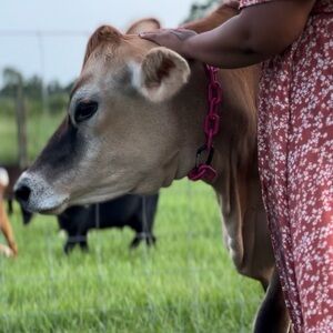 Meet your Posher, Kristina